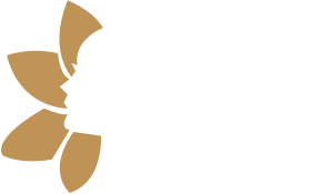 Beauty & Saloon